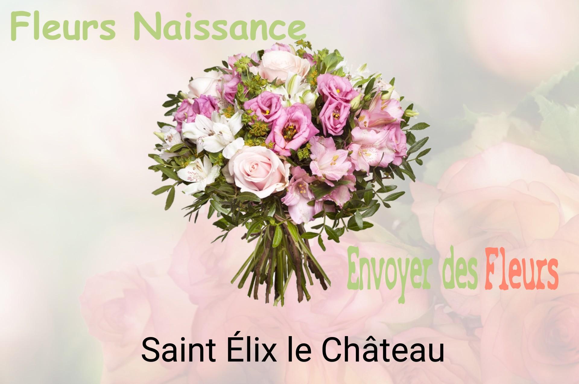Bouquet de fleurs de naissance livré à Saint-Élix-le-Château