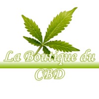 LA BOUTIQUE DU CBD SAINT-ELIX-LE-CHATEAU 